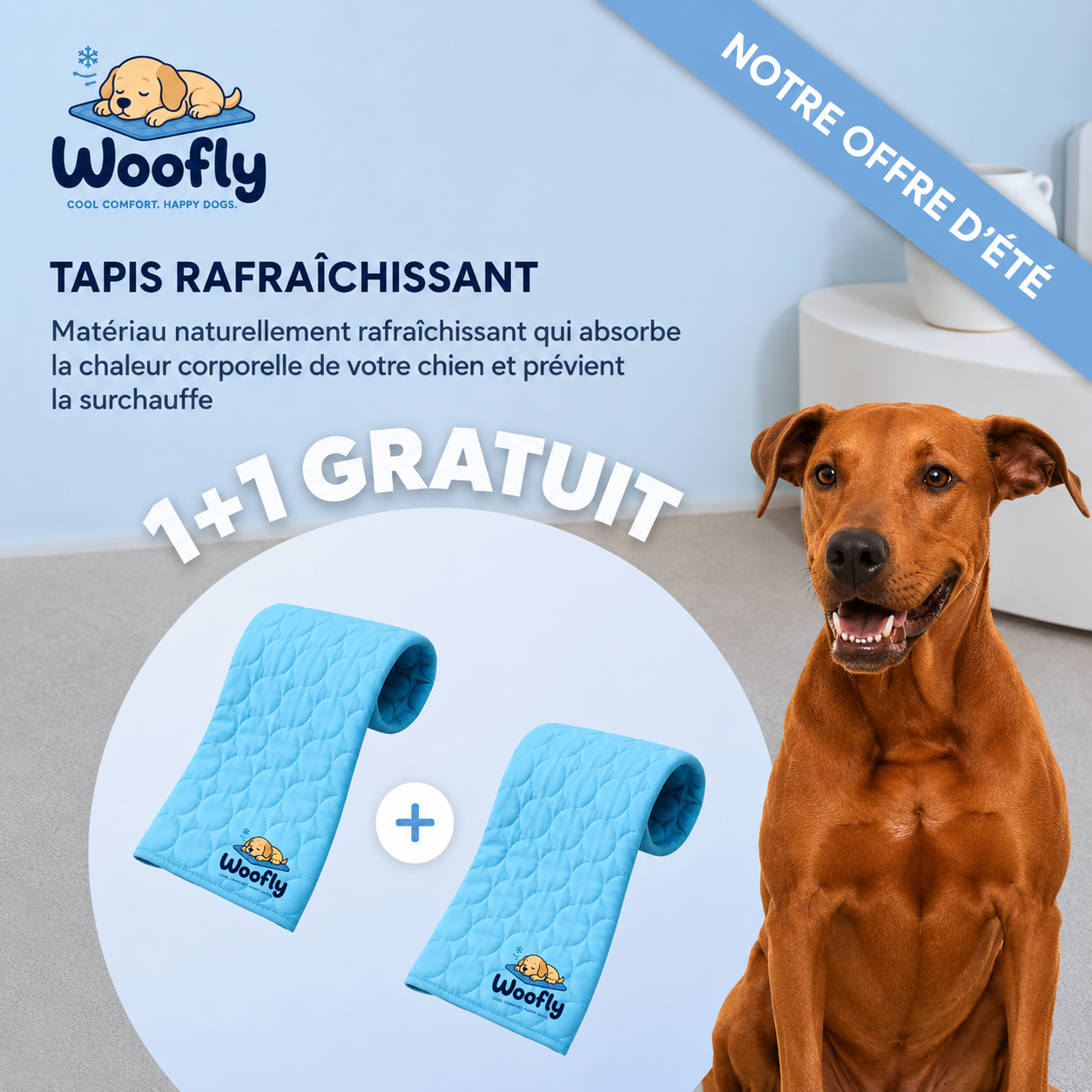 Tapis rafraichissant