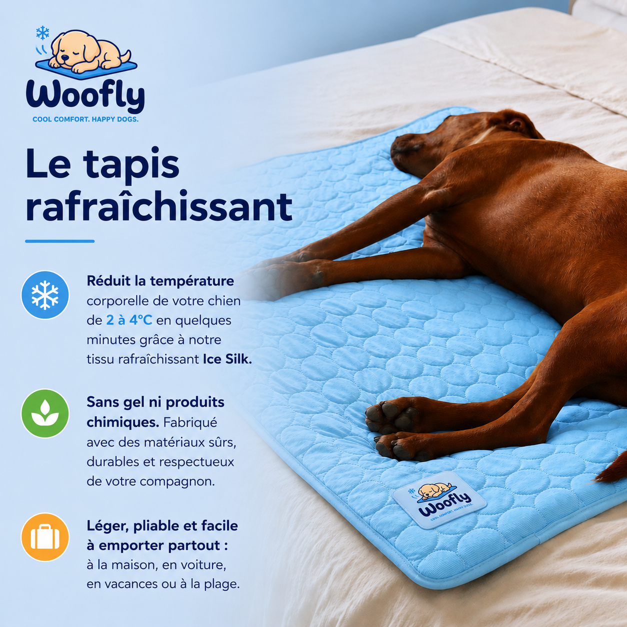 Tapis rafraichissant